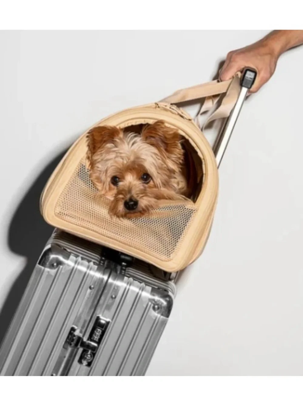 Wild One Beige Pet Carrier Soft Sided Dog Travel Bag Airline Compliant